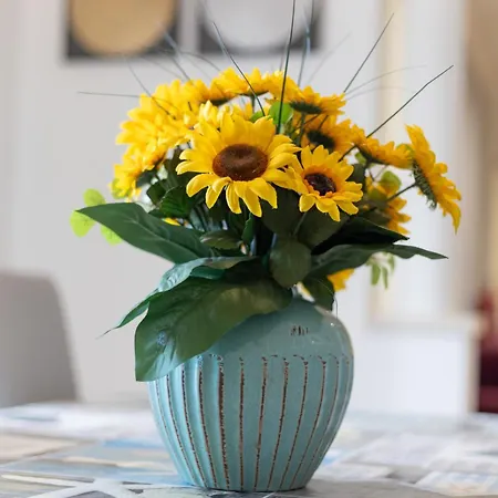 Vinyl Flat - Frühstückspension 3*